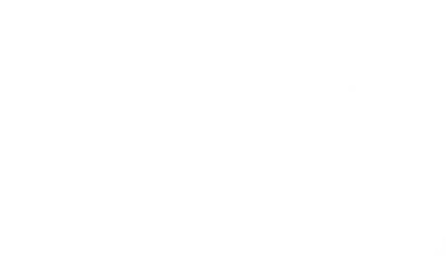 Bruce & Co